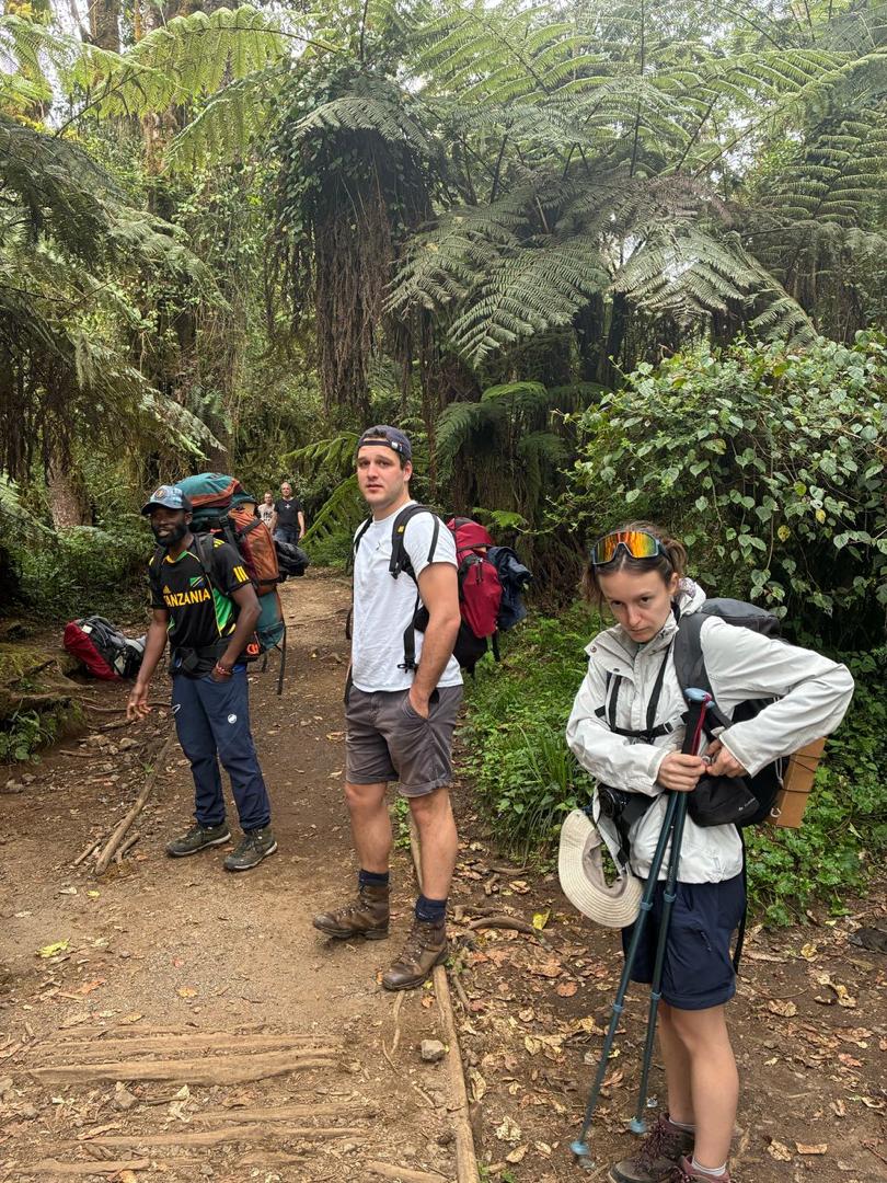Tanzania Safari