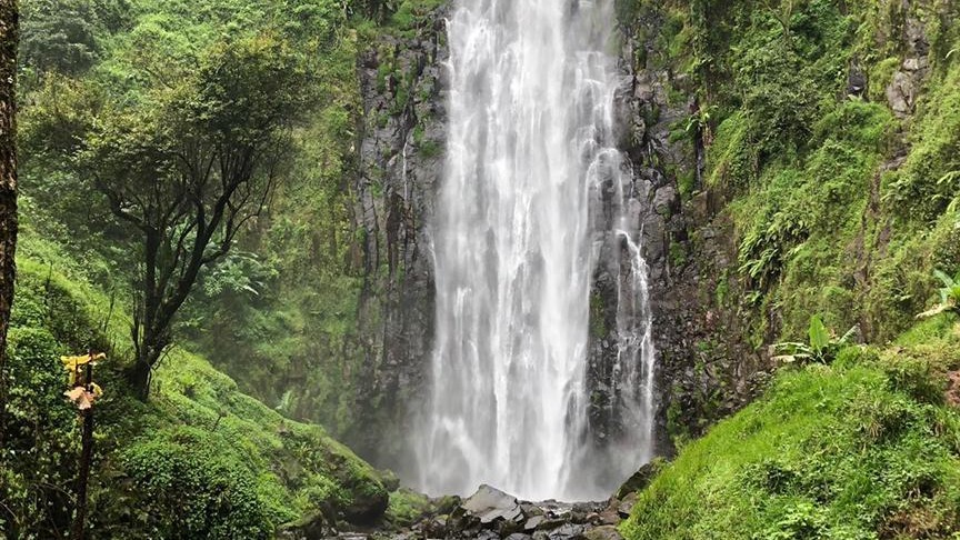 Discover One Day Trips
