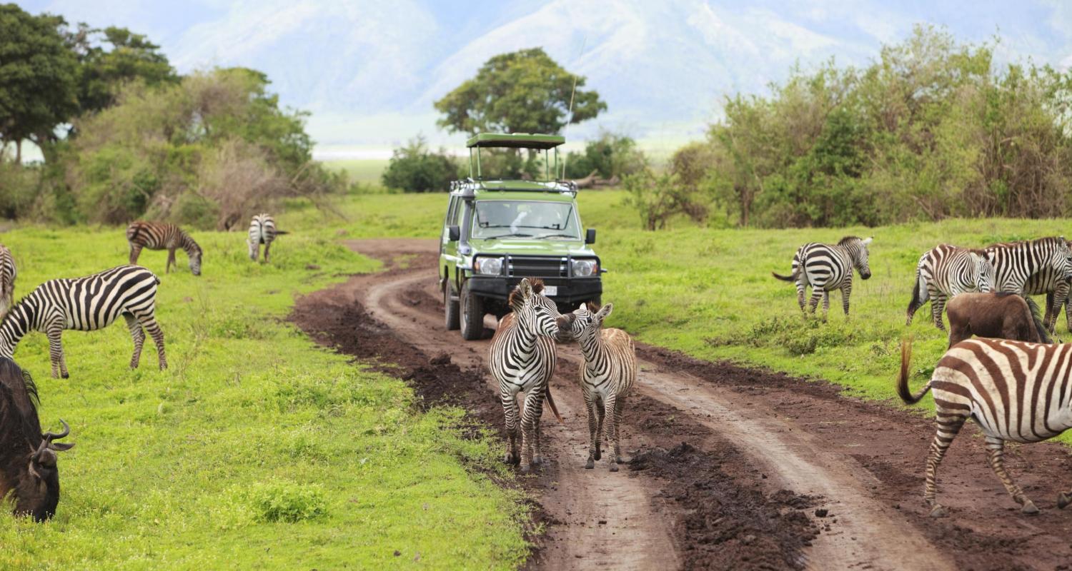 5-Days Tanzania Classic Safari