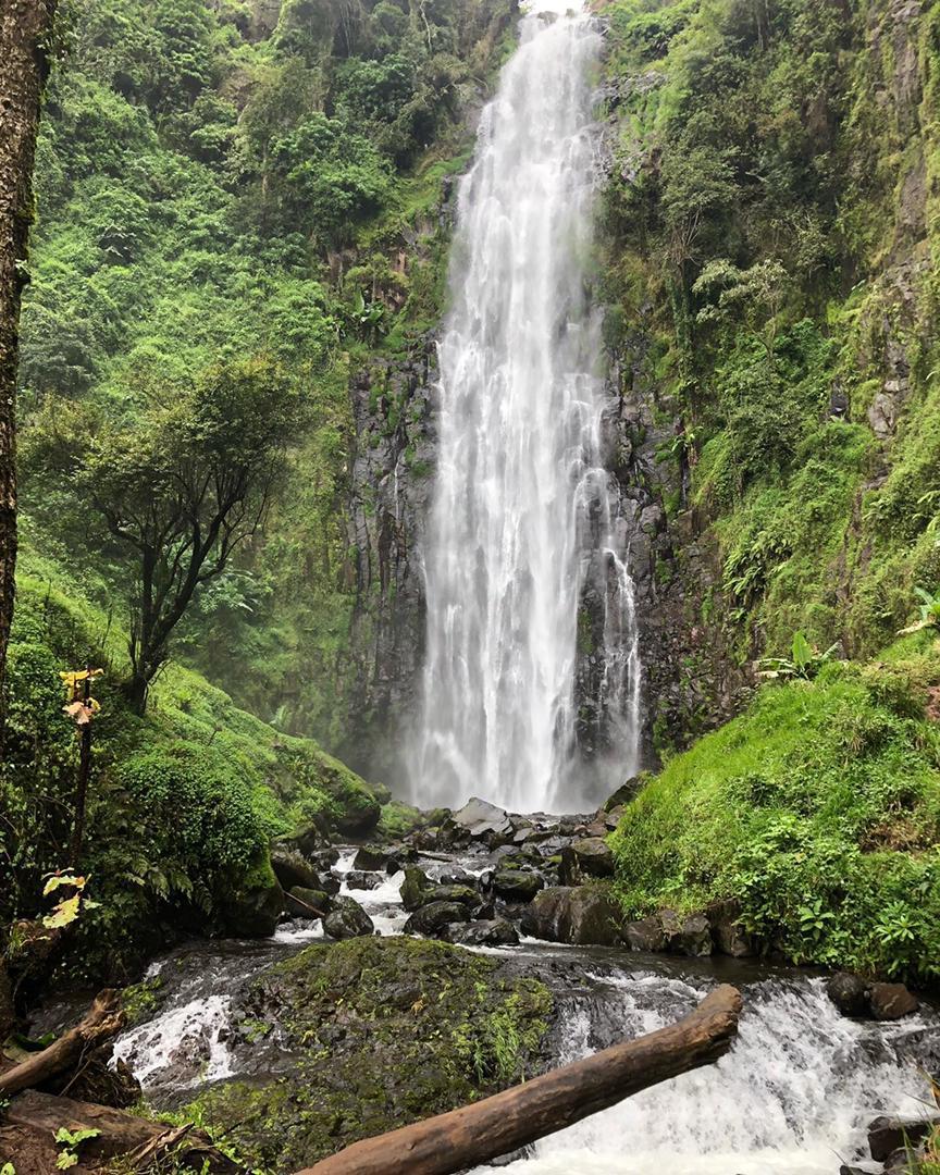 Materuni Waterfalls & Coffee Tour